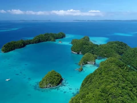 Đảo quốc Palau và những điều thú vị