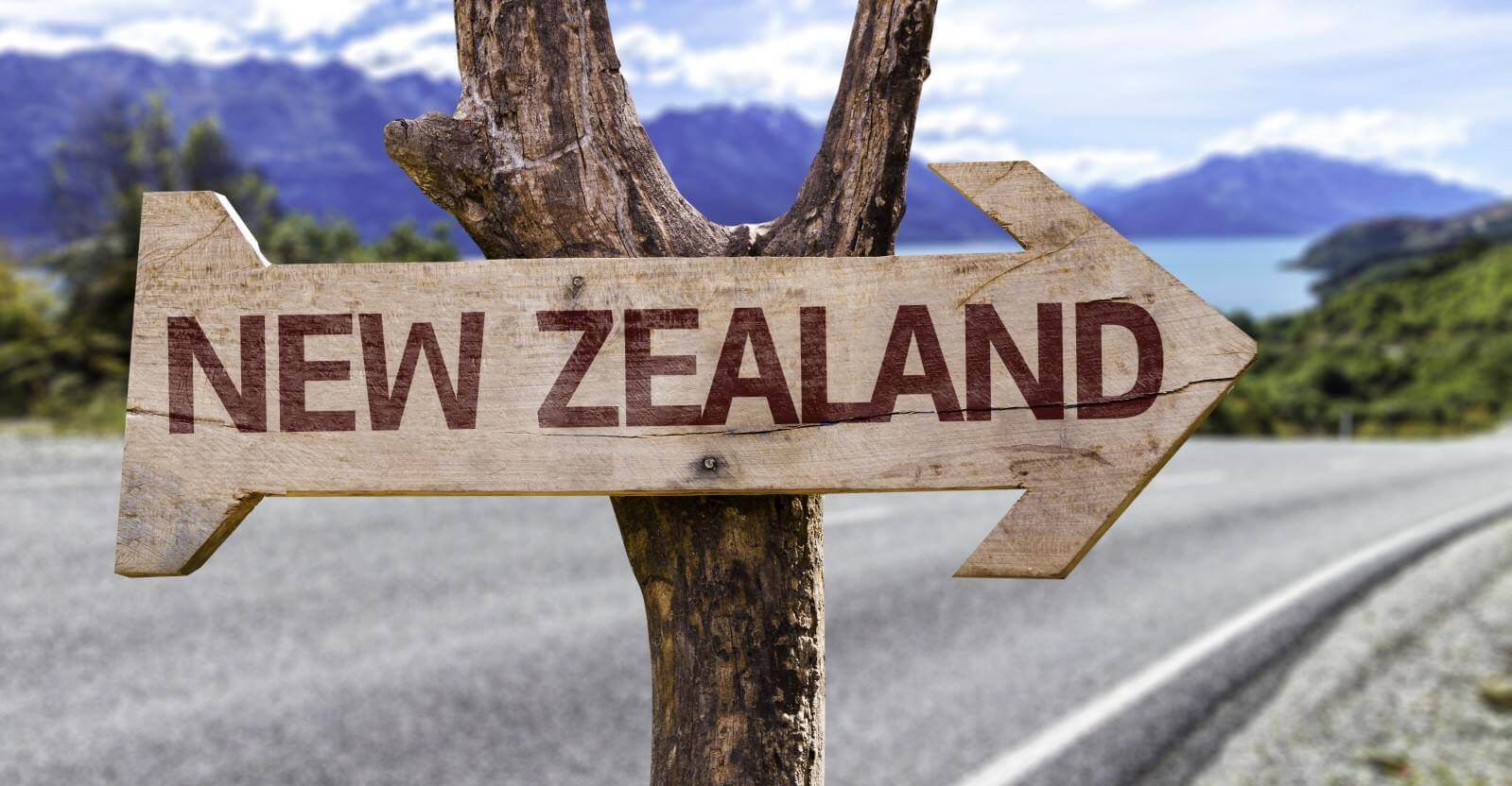 Định cư New Zealand diện tay nghề tại những thành phố lớn
