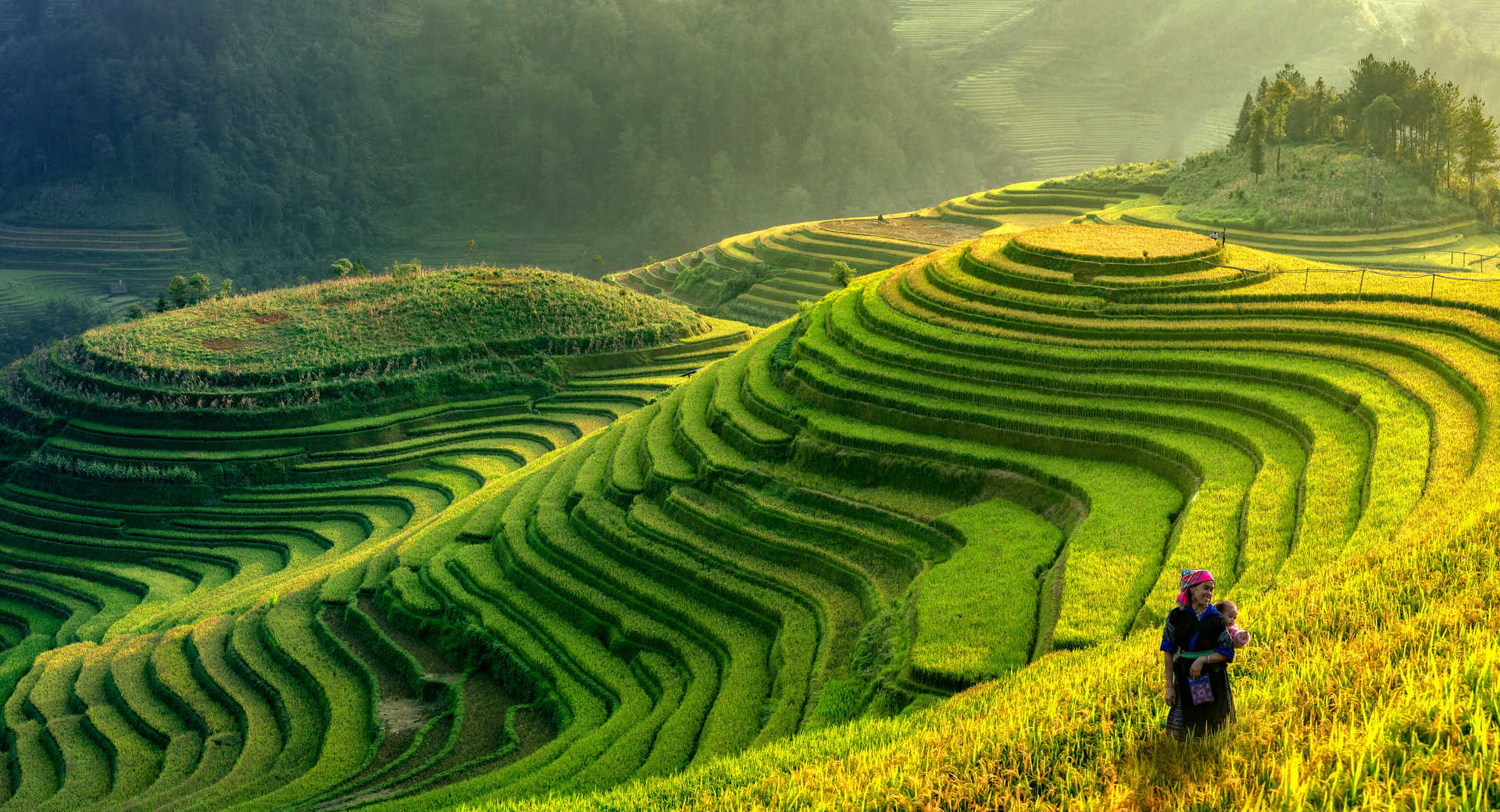 Step-by-Step Vietnam Visa on Arrival Application from Bangladesh