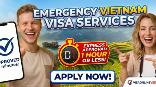 How long does Vietnam e-visa take to process